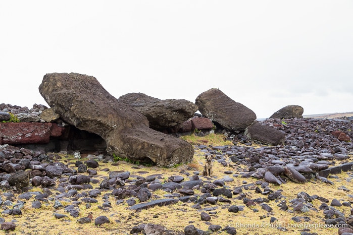 travelyesplease.com | 4 Days in Easter Island- A Self-Guided Tour of Rapa Nui