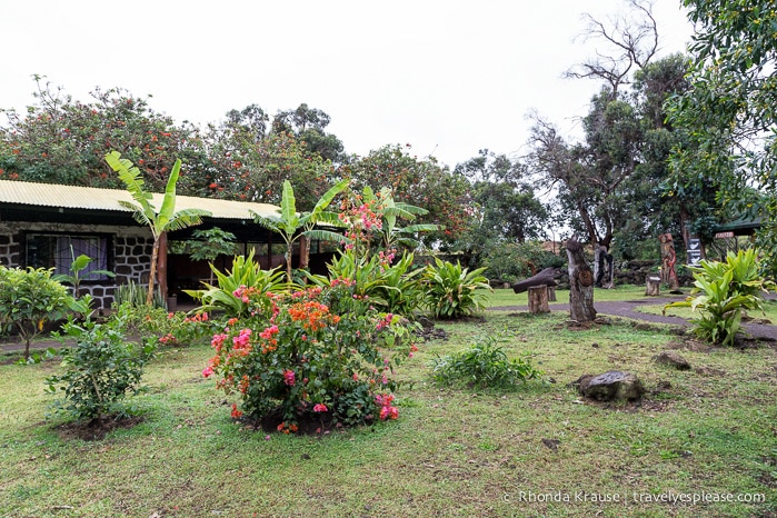 travelyesplease.com | Rano Raraku- Carving Site of Easter Island's Moai Statues