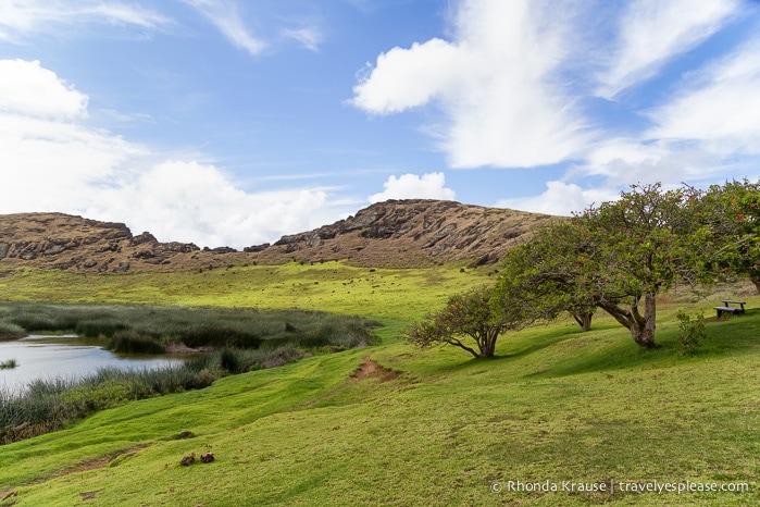 travelyesplease.com | Rano Raraku- Carving Site of Easter Island's Moai Statues