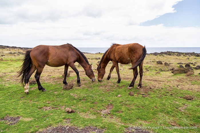 travelyesplease.com | 4 Days in Easter Island- A Self-Guided Tour of Rapa Nui