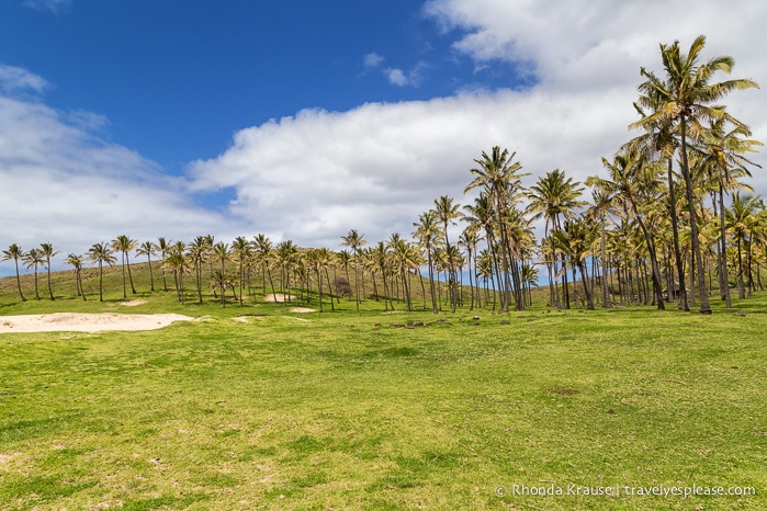 travelyesplease.com | 4 Days in Easter Island- A Self-Guided Tour of Rapa Nui