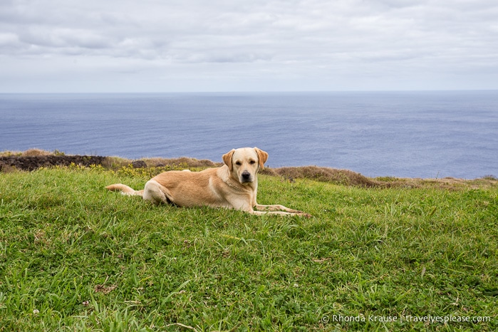 travelyesplease.com | 4 Days in Easter Island- A Self-Guided Tour of Rapa Nui