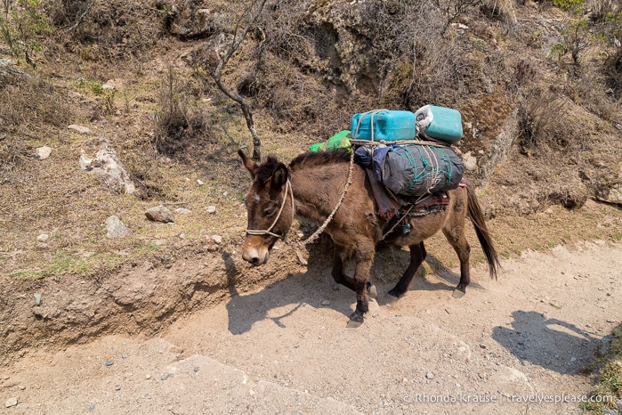 travelyesplease.com | Hiking the Inca Trail- What to Expect on the 4 Day Trek to Machu Picchu