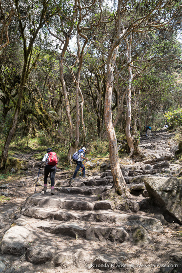 travelyesplease.com | Hiking the Inca Trail- What to Expect on the 4 Day Trek to Machu Picchu