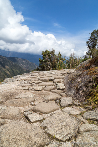 Stone path on the Inca Trail