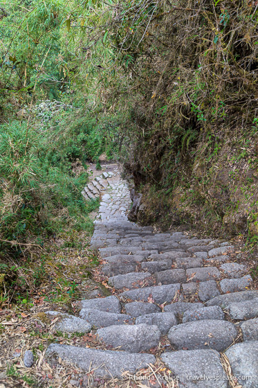 Stone steps on the Inca Trail