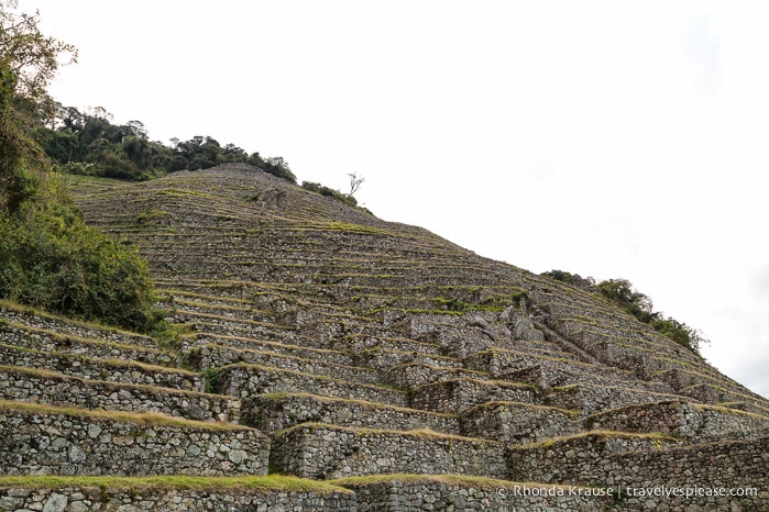 travelyesplease.com | Hiking the Inca Trail- What to Expect on the 4 Day Trek to Machu Picchu