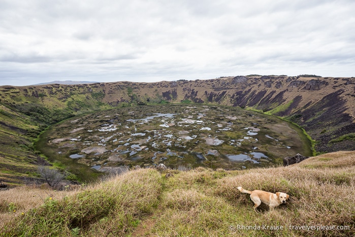 travelyesplease.com | Orongo- Ceremonial Village of the Birdman Cult