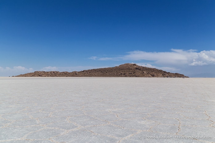 Isla Incahuasi is a stop on Uyuni Salt Flat tours.