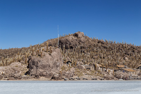 Isla Incahuasi at Salar de Uyuni.