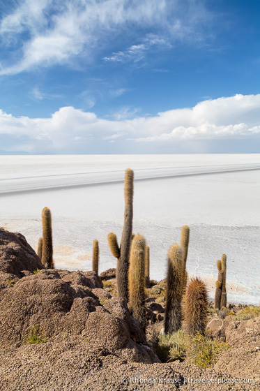 Isla Incahuasi and the Uyuni Salt Flats in Bolivia.