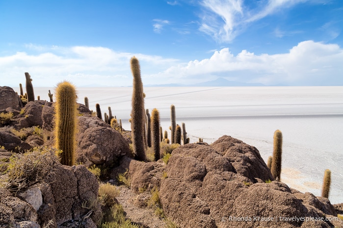 Isla Incahuasi and the Uyuni Salt Flats in Bolivia.