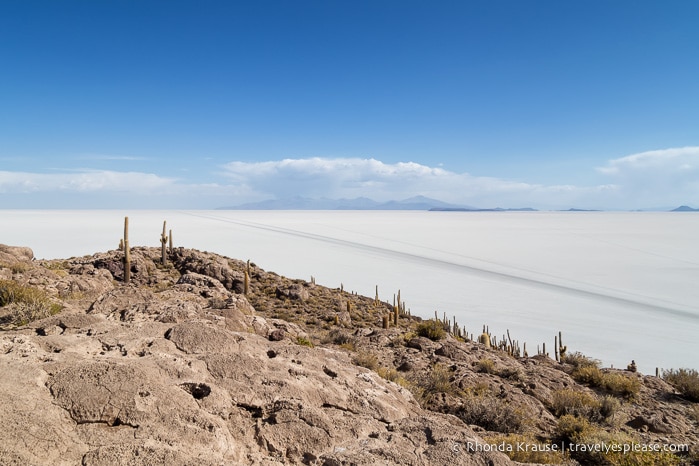 Isla Incahuasi and Salar de Uyuni.