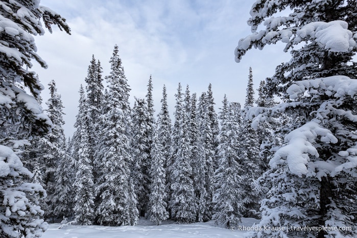 travelyesplease.com | 4 Romantic Winter Getaways in Alberta, Canada