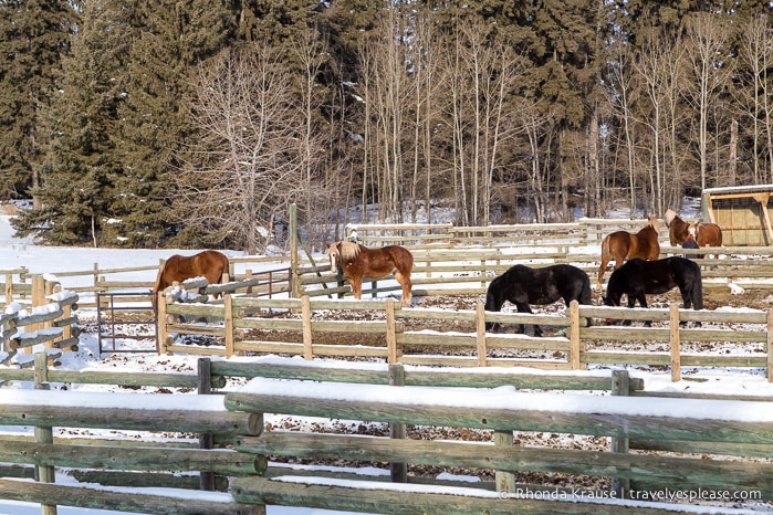 travelyesplease.com | 4 Romantic Winter Getaways in Alberta, Canada