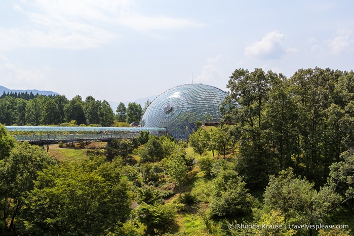 travelyesplease.com | Visiting Tottori Hanakairo Flower Park- One of Japan's Largest Flower Parks