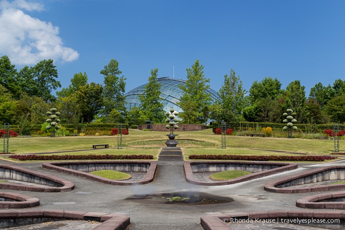 travelyesplease.com | Visiting Tottori Hanakairo Flower Park- One of Japan's Largest Flower Parks