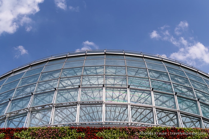 travelyesplease.com | Visiting Tottori Hanakairo Flower Park- One of Japan's Largest Flower Parks