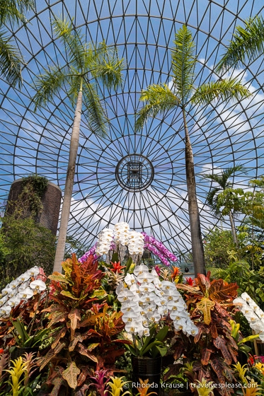 travelyesplease.com | Visiting Tottori Hanakairo Flower Park- One of Japan's Largest Flower Parks