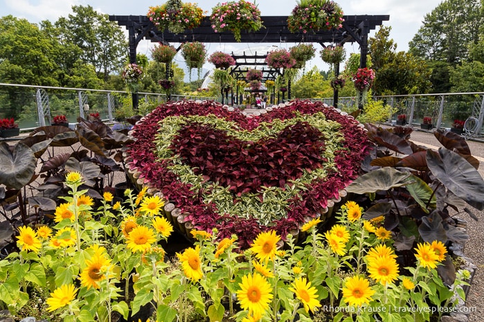 travelyesplease.com | Visiting Tottori Hanakairo Flower Park- One of Japan's Largest Flower Parks