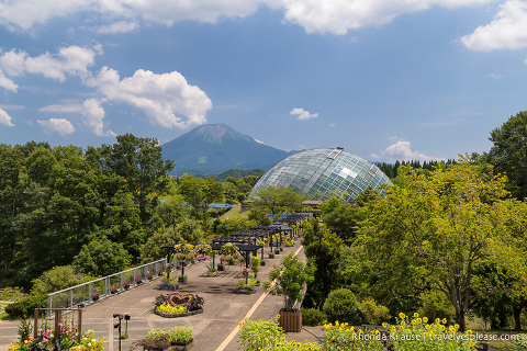 travelyesplease.com | Visiting Tottori Hanakairo Flower Park- One of Japan's Largest Flower Parks