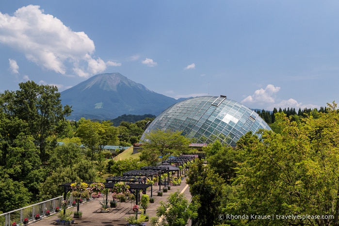 travelyesplease.com | Visiting Tottori Hanakairo Flower Park- One of Japan's Largest Flower Parks