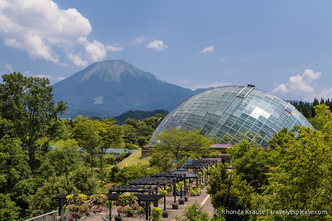 travelyesplease.com | Visiting Tottori Hanakairo Flower Park- One of Japan's Largest Flower Parks