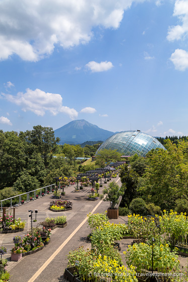 travelyesplease.com | Visiting Tottori Hanakairo Flower Park- One of Japan's Largest Flower Parks