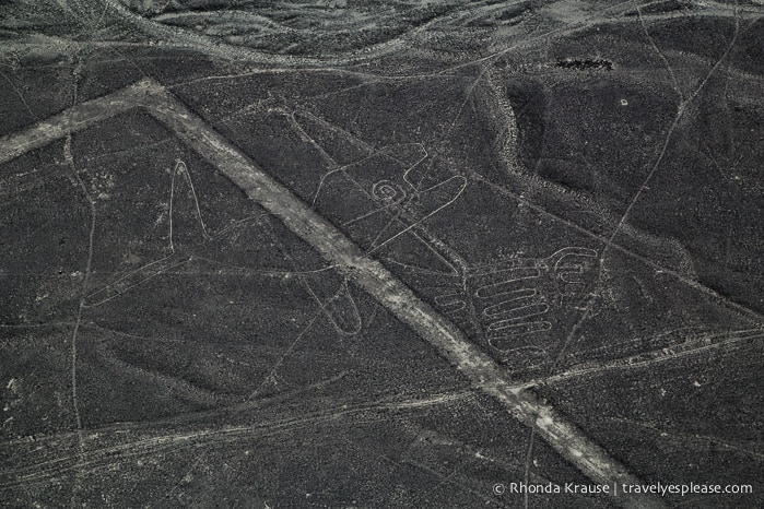 travelyesplease.com | Nazca Lines Flight- Flying Over Peru's Mysterious Geoglyphs