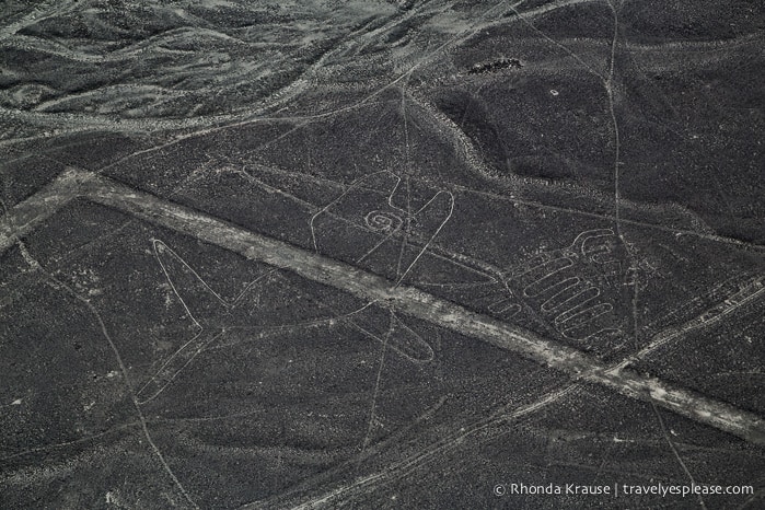 travelyesplease.com | Flying Over the Nazca Lines- Peru's Mysterious Geoglyphs