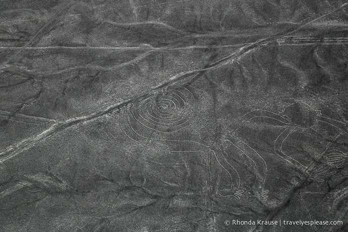 travelyesplease.com | Flying Over the Nazca Lines- Peru's Mysterious Geoglyphs