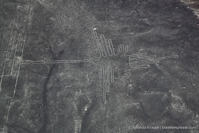 Nazca Lines Flight- Flying Over Peru’s Mysterious Geoglyphs