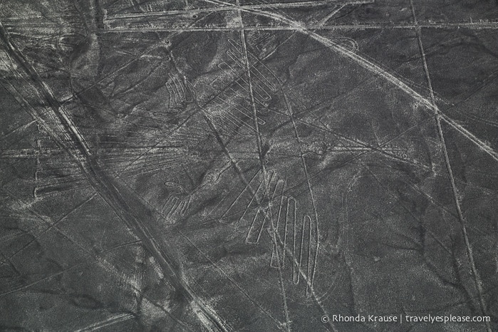 travelyesplease.com | Nazca Lines Flight- Flying Over Peru's Mysterious Geoglyphs