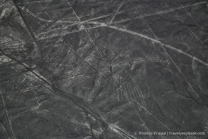 travelyesplease.com | Flying Over the Nazca Lines- Peru's Mysterious Geoglyphs