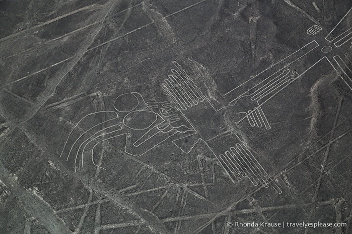 travelyesplease.com | Nazca Lines Flight- Flying Over Peru's Mysterious Geoglyphs