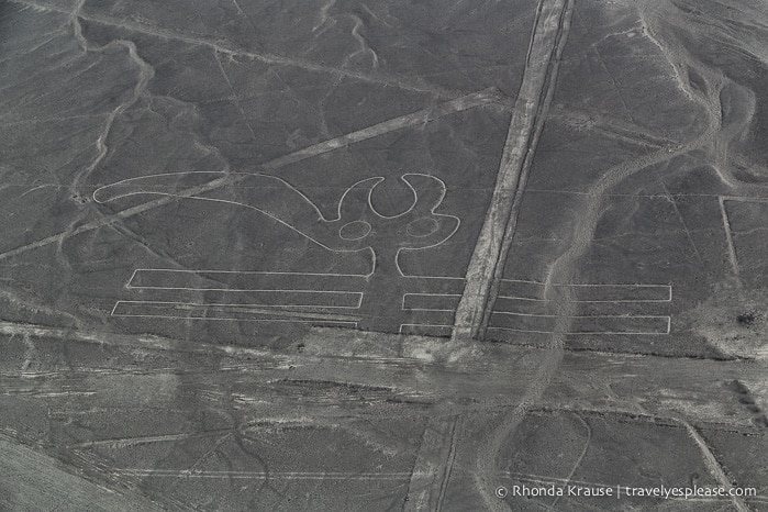 travelyesplease.com | Nazca Lines Flight- Flying Over Peru's Mysterious Geoglyphs