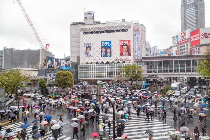 travelyesplease.com | Tokyo Itinerary- How to Spend 4 Days in Tokyo