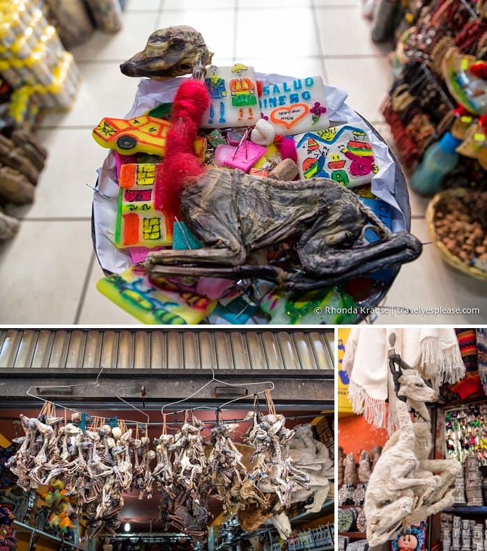 Llama fetuses at the Witches’ Market (Mercado de Hechiceria) in La Paz.