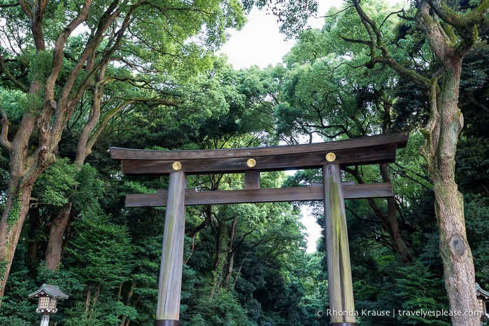 travelyesplease.com | Visiting Meiji Shrine- Tokyo's Most Important Shinto Shrine