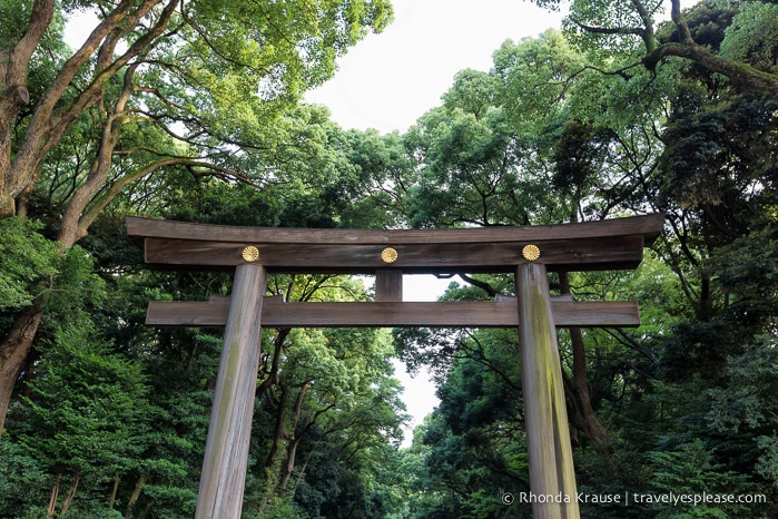 travelyesplease.com | Visiting Meiji Shrine- Tokyo's Most Important Shinto Shrine