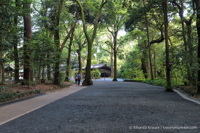 travelyesplease.com | Visiting Meiji Shrine- Tokyo's Most Important Shinto Shrine