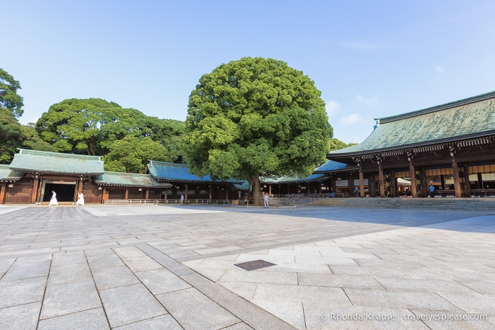 travelyesplease.com | Visiting Meiji Shrine- Tokyo's Most Important Shinto Shrine