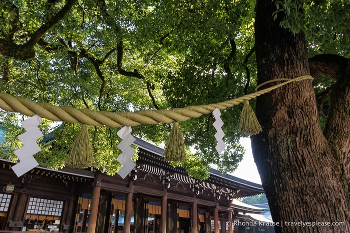 travelyesplease.com | Visiting Meiji Shrine- Tokyo's Most Important Shinto Shrine