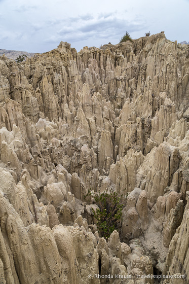 A Walk in Moon Valley- La Paz, Bolivia