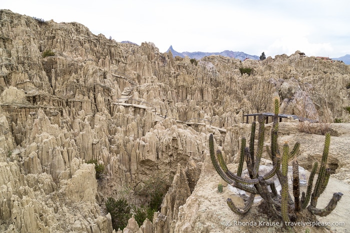 A Walk in Moon Valley- La Paz, Bolivia