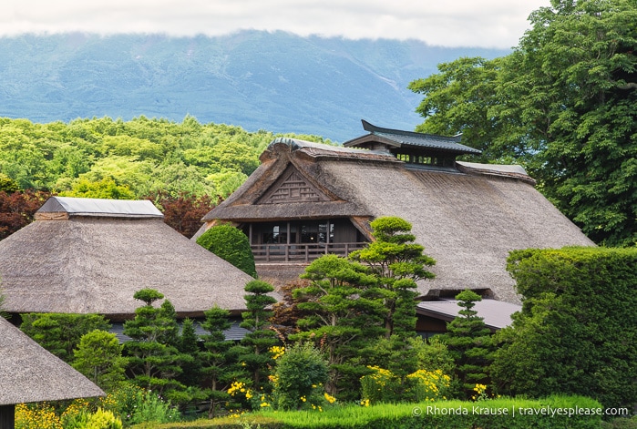 travelyesplease.com | Oshino Hakkai- 8 Sacred Ponds in the Fuji Five Lakes Region