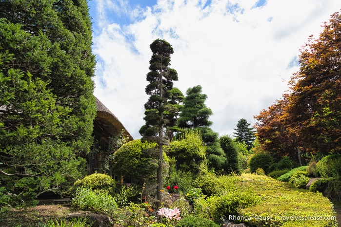 travelyesplease.com | Oshino Hakkai- 8 Sacred Ponds in the Fuji Five Lakes Region