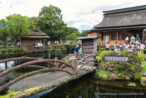 travelyesplease.com | Oshino Hakkai- 8 Sacred Ponds in the Fuji Five Lakes Region