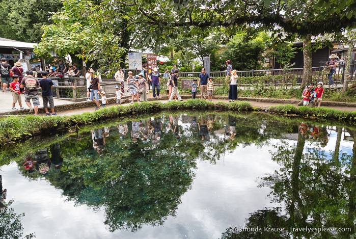 travelyesplease.com | Oshino Hakkai- 8 Sacred Ponds in the Fuji Five Lakes Region