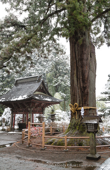 travelyesplease.com | Fujiyoshida Sengen Shrine- The Traditional Starting Point for Climbing Mt. Fuji